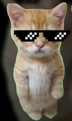 Kitten wearing pixel sunglasses