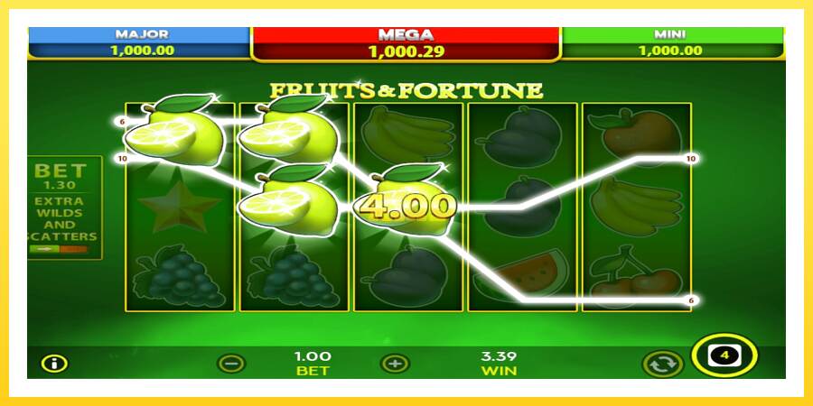 Slika 4 igralni avtomat Fruits & Fortune