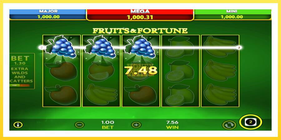 Slika 5 igralni avtomat Fruits & Fortune