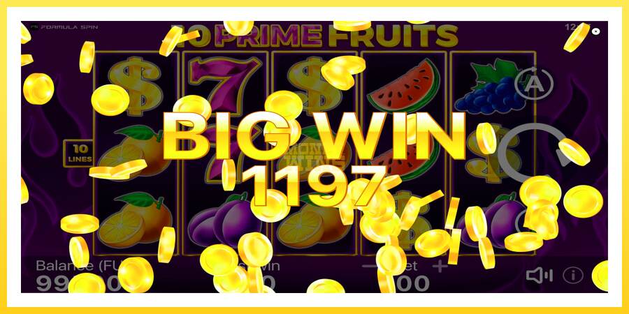 Slika 5 igralni avtomat 10 Prime Fruits