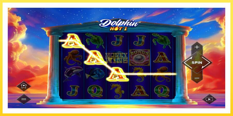 Slika 3 igralni avtomat Dolphin Hot 1