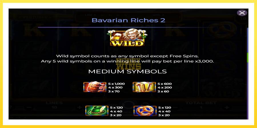 Slika 6 igralni avtomat Bavarian Riches 2