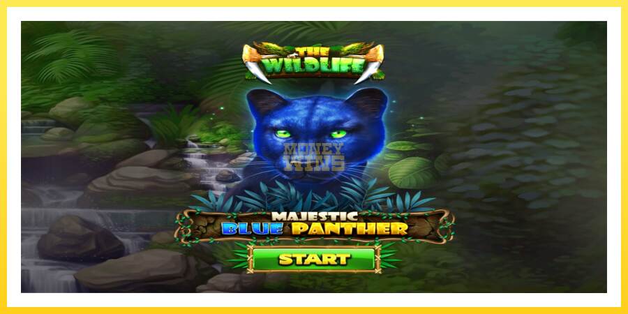 Slika 1 igralni avtomat Majestic Blue Panther