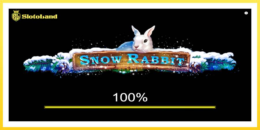 Slika 1 igralni avtomat Snow Rabbit