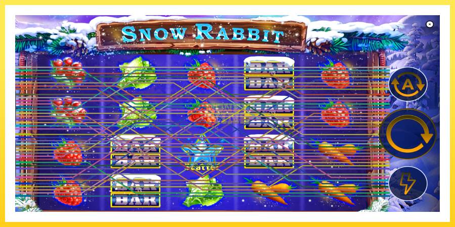 Slika 2 igralni avtomat Snow Rabbit