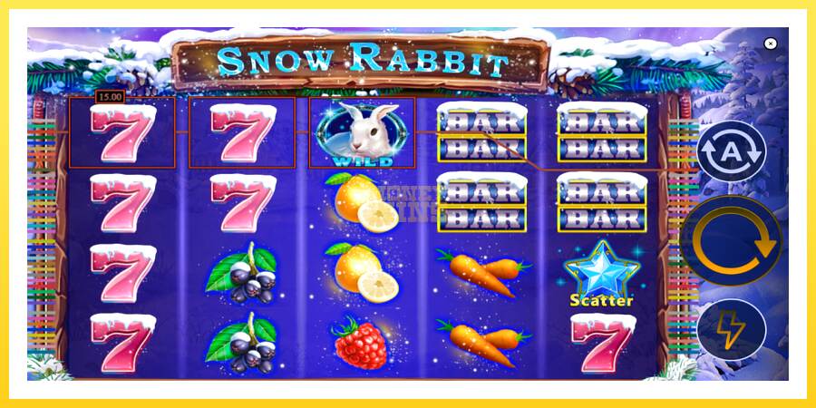 Slika 3 igralni avtomat Snow Rabbit