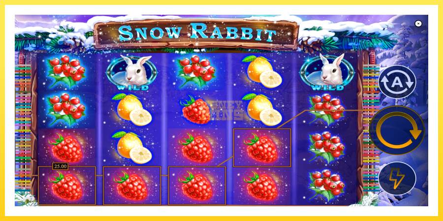 Slika 4 igralni avtomat Snow Rabbit