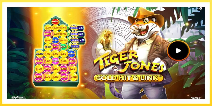 Slika 1 igralni avtomat Gold Hit & Link: Tiger Jones