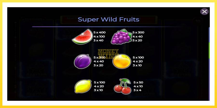 Slika 4 igralni avtomat Super Wild Fruits