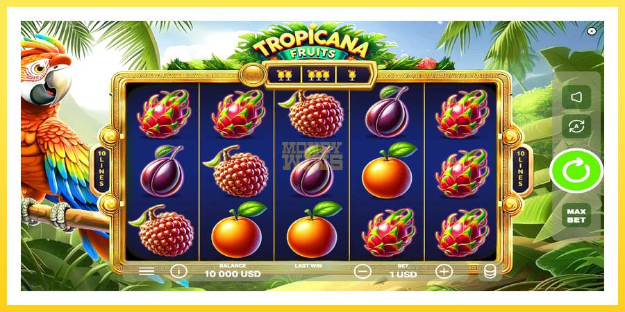 Slika 2 igralni avtomat Tropicana Fruits