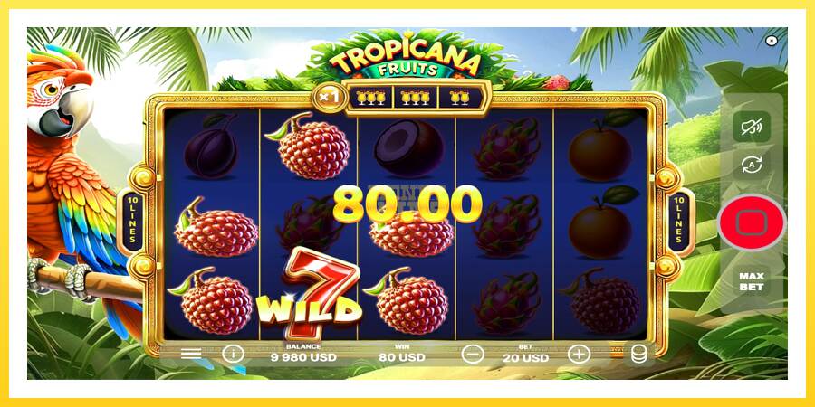 Slika 3 igralni avtomat Tropicana Fruits