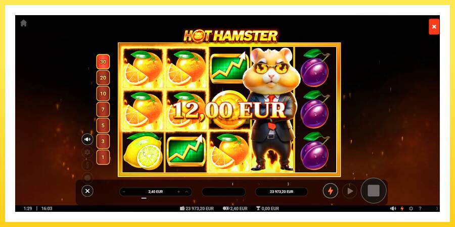 Slika 5 igralni avtomat Hot Hamster