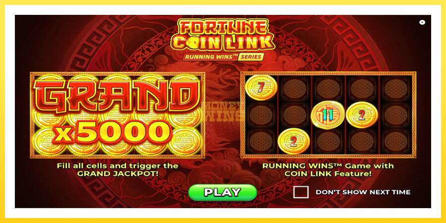 Slika 1 igralni avtomat Fortune Coin Link