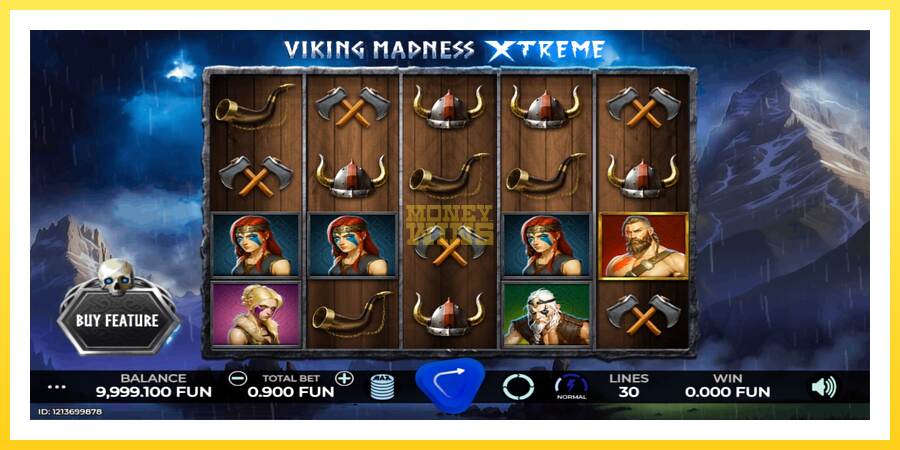 Slika 1 igralni avtomat Viking Madness Xtreme