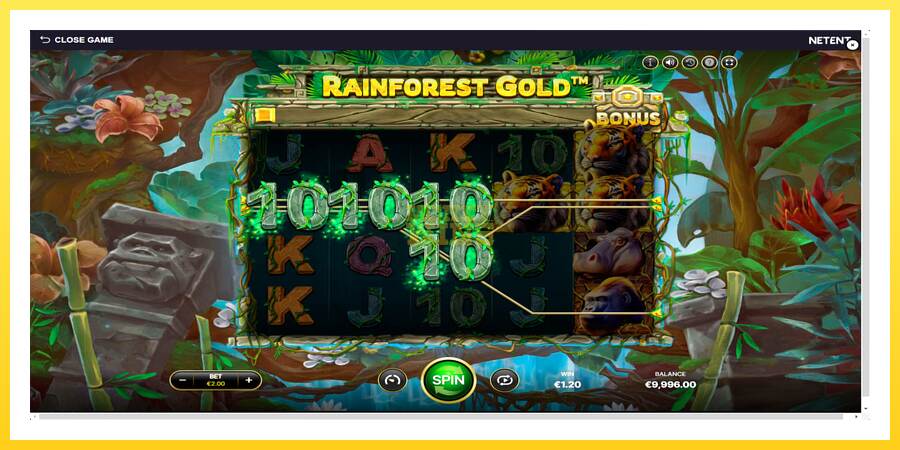 Slika 2 igralni avtomat Rainforest Gold