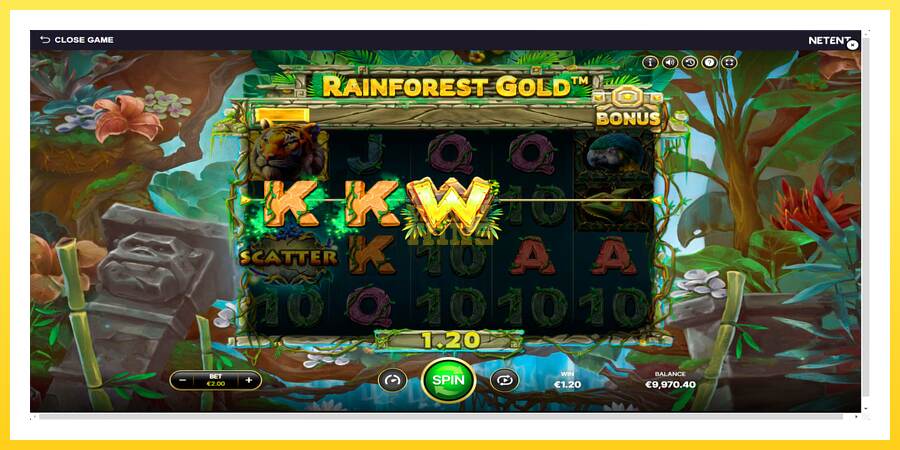 Slika 5 igralni avtomat Rainforest Gold