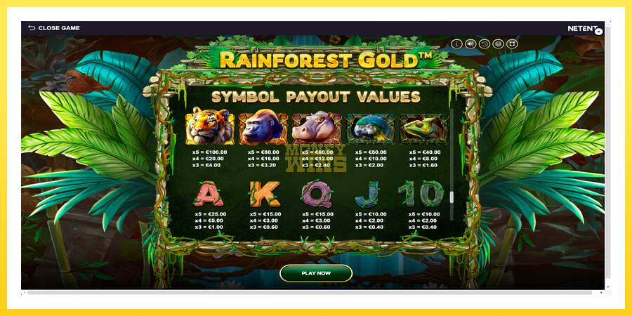 Slika 6 igralni avtomat Rainforest Gold