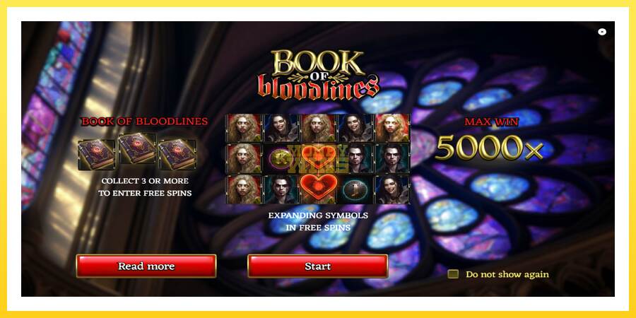 Slika 1 igralni avtomat Book of Bloodlines