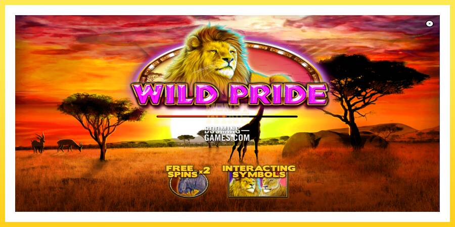 Slika 1 igralni avtomat Wild Pride