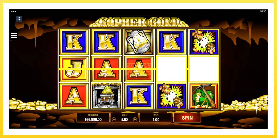 Slika 2 igralni avtomat Gopher Gold