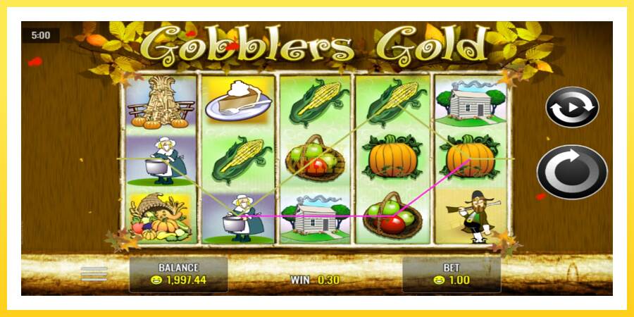 Slika 2 igralni avtomat Gobblers Gold