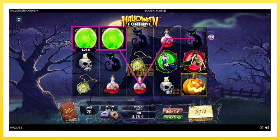 Slika 2 igralni avtomat Halloween Fortune