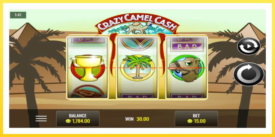 Slika 4 igralni avtomat Crazy Camel Cash