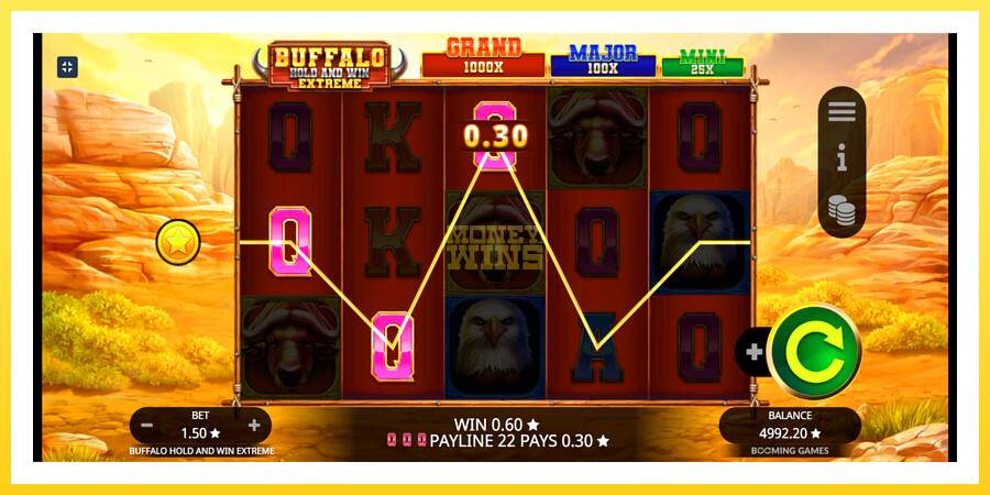 Slika 4 igralni avtomat Buffalo Hold and Win Extreme