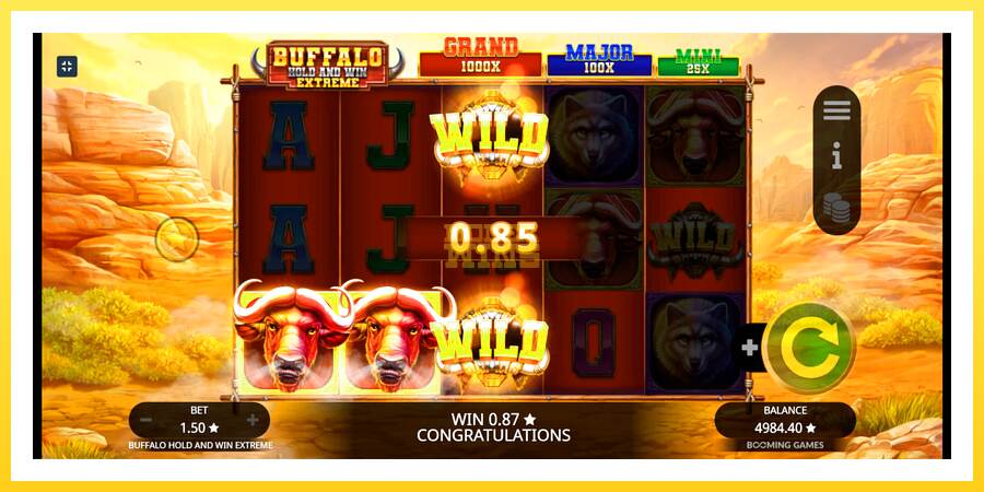 Slika 6 igralni avtomat Buffalo Hold and Win Extreme