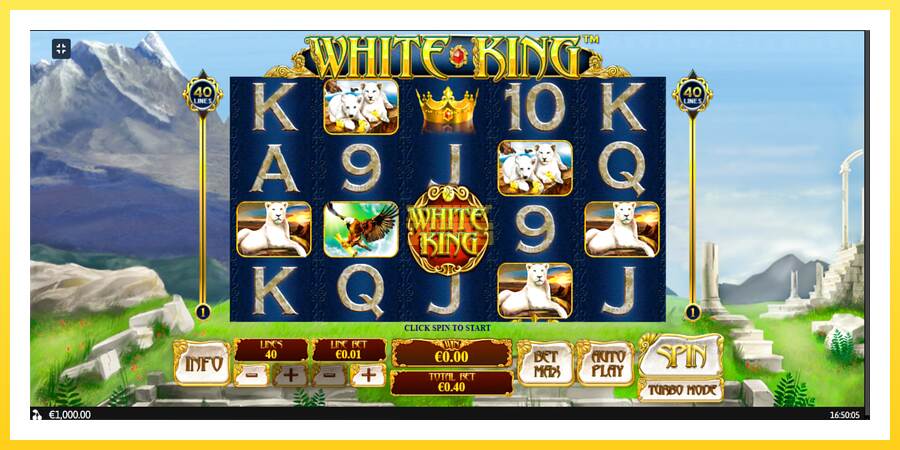 Slika 1 igralni avtomat White King