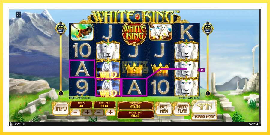 Slika 9 igralni avtomat White King