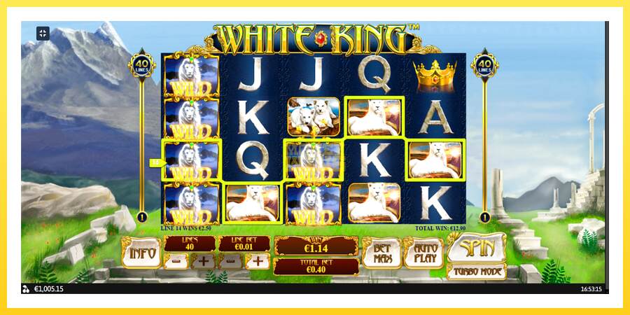 Slika 11 igralni avtomat White King