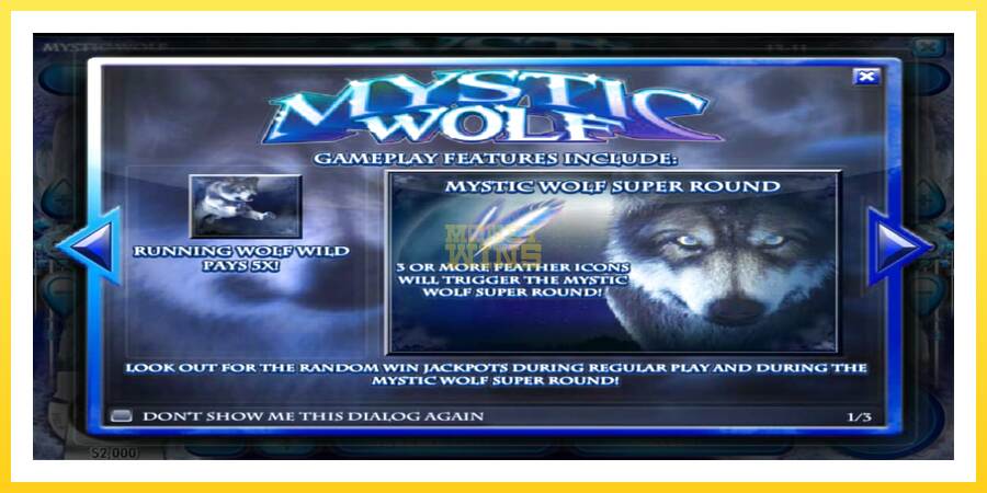 Slika 7 igralni avtomat Mystic Wolf