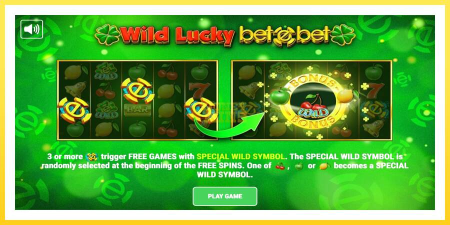 Slika 1 igralni avtomat Wild Lucky Betebet