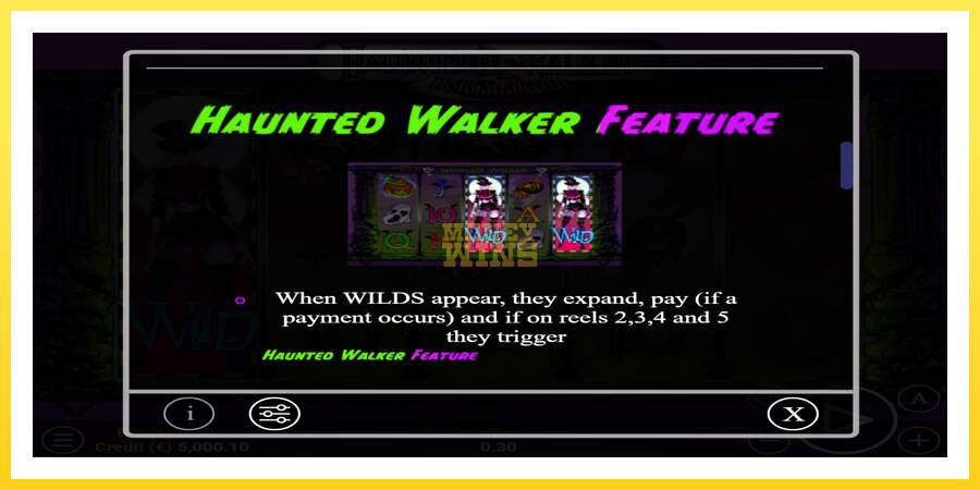 Slika 5 igralni avtomat Haunted Walker 2