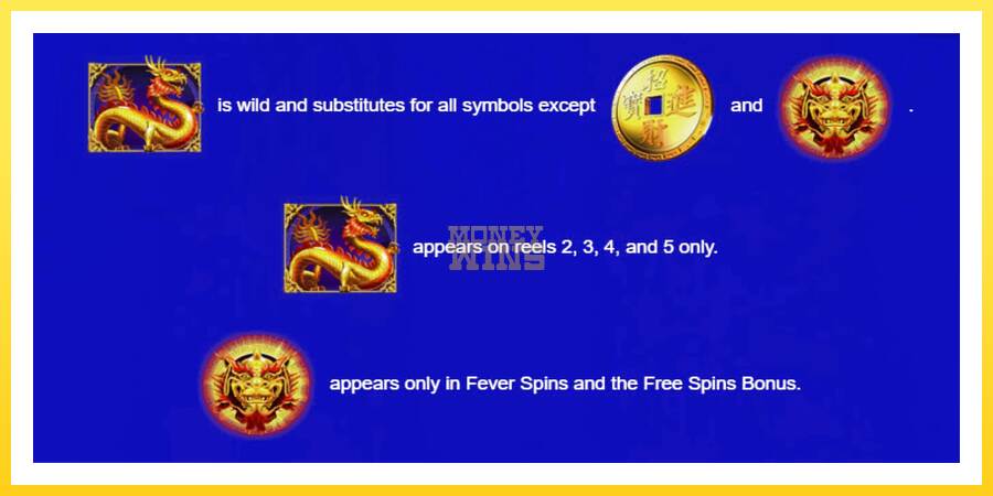 Slika 5 igralni avtomat Fortune Coin Fever Spins