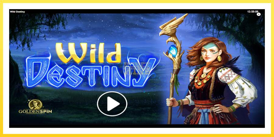 Slika 1 igralni avtomat Wild Destiny