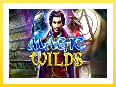 Igralni avtomat Magic Wilds