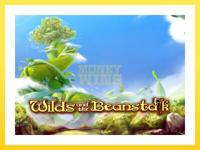 Igralni avtomat Wilds and the Beanstalk