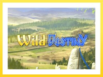 Igralni avtomat Wild Destiny