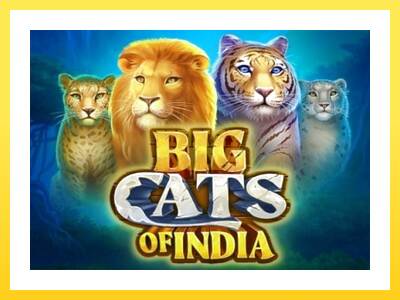 Igralni avtomat Big Cats of India